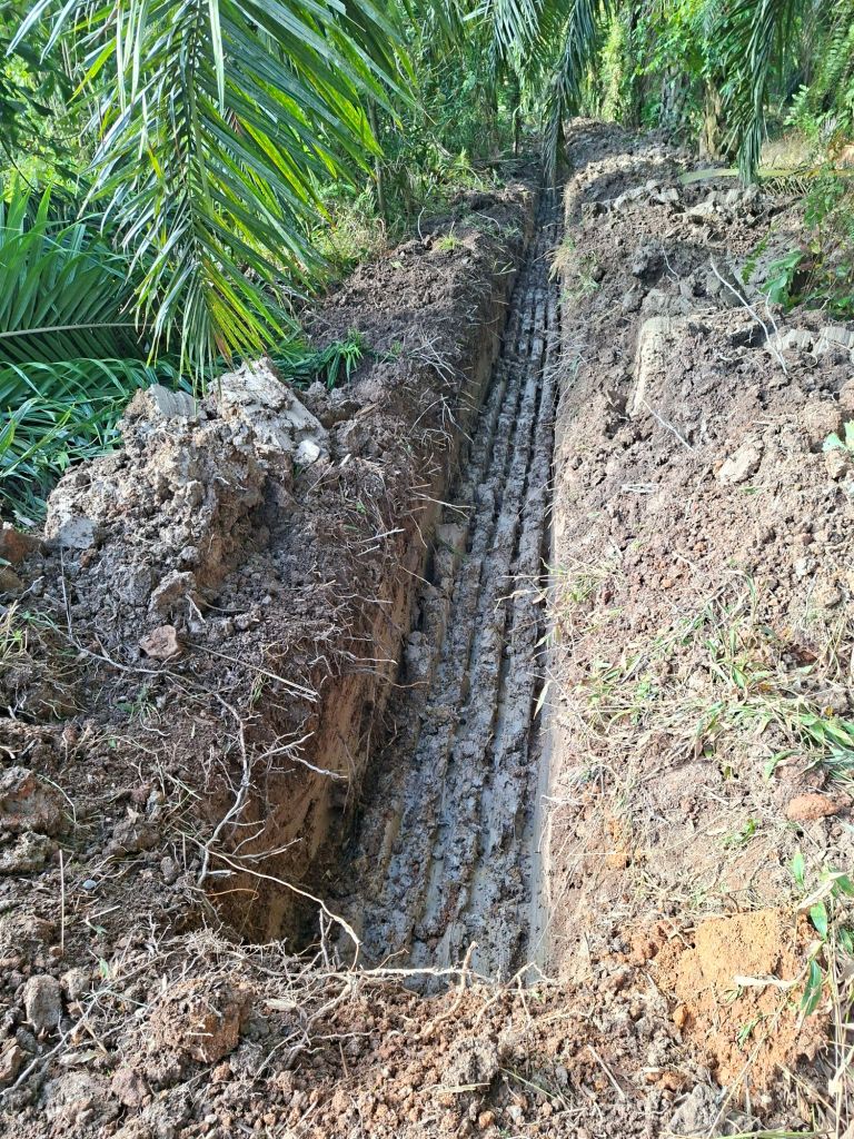 20260314_0906292057349312159495079